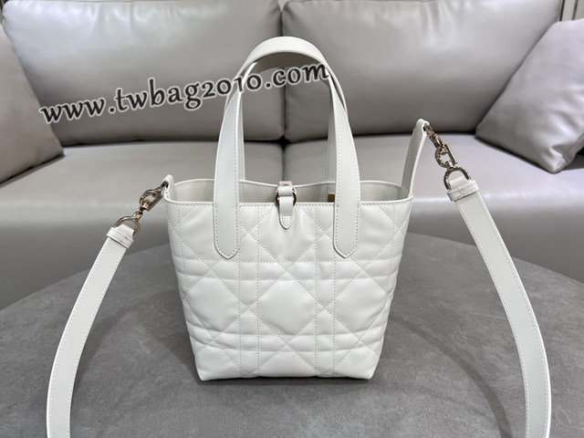 Dior专柜2025新款迪奥高仿原单Toujours竖版手袋牛皮休闲手提女包 djfk1299